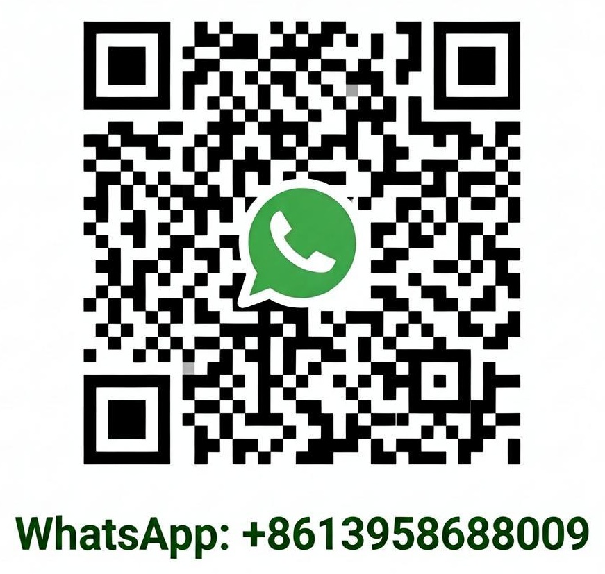 +8613958688009 whartsApp
